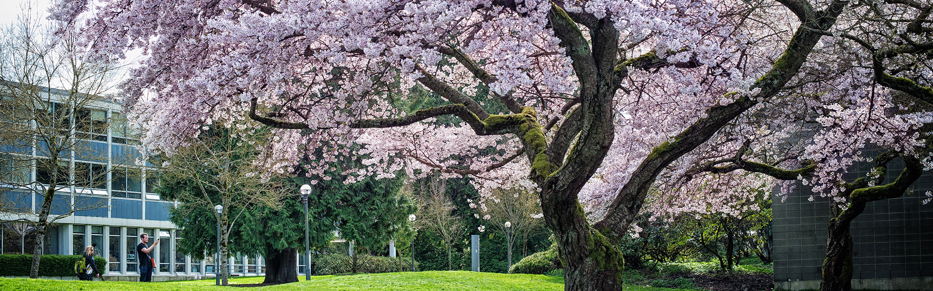 mfa in film production and creative writing ubc calendar