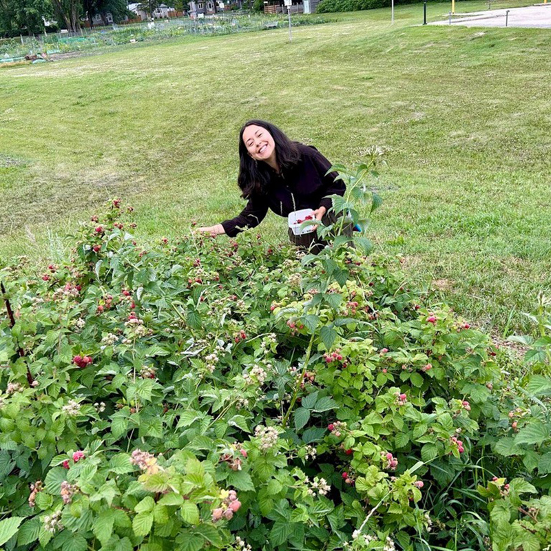 community garden