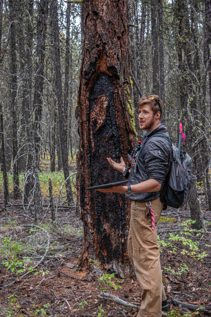 man standing next to half burned and charred tree outdoors