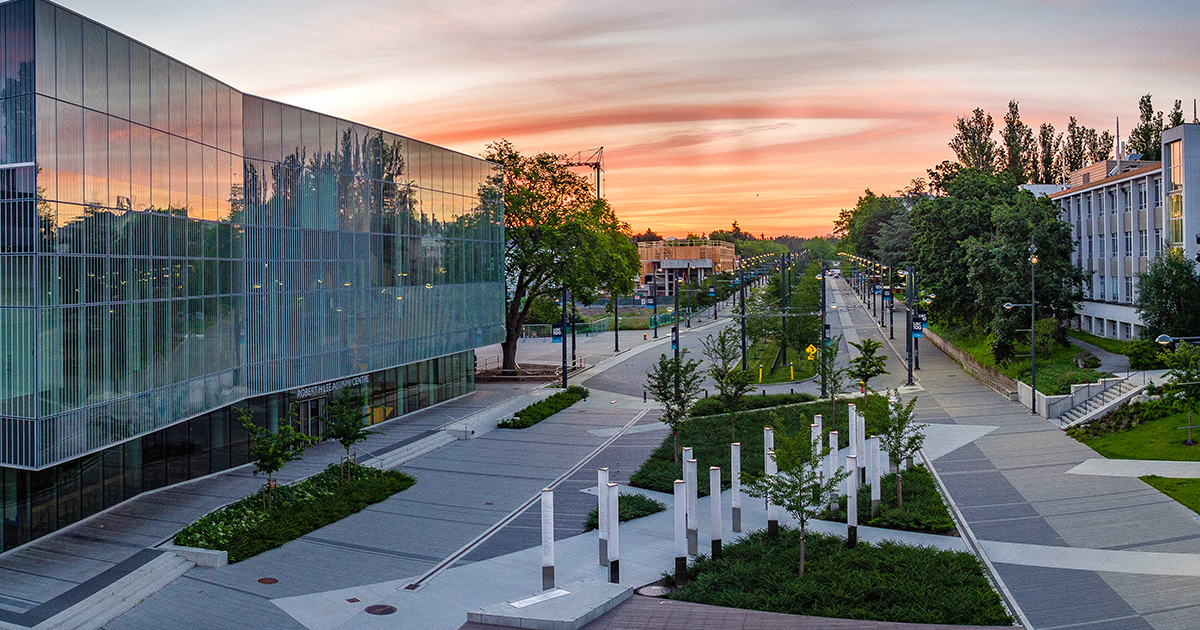 University Boulevard looking east. Photo credit: Hover Collective