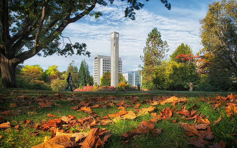 UBC Clocktower and fall leaves. Photo credit: Don Erhardt. 