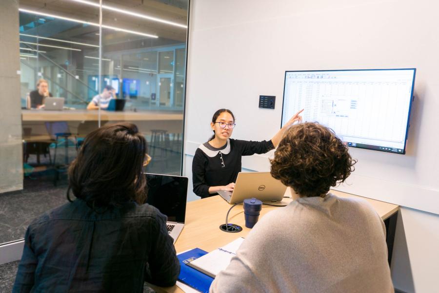 Students sitting in one of the semi-private rooms behind a laptop speaking to each other