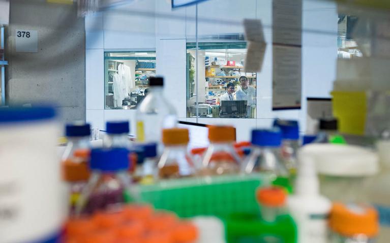 Glass bottles are shown on a lab bench at the UBC Protate Centre. Photo credit: Don Erhardt/UBC Communications & Marketing