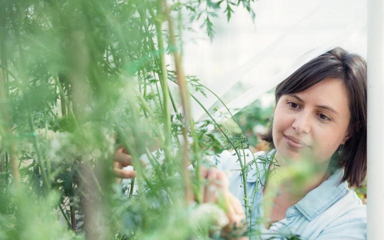 Woman looking at plant