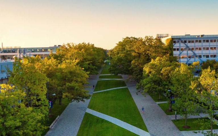 Picture of New report offers glimpse at postdoctoral fellows at UBC