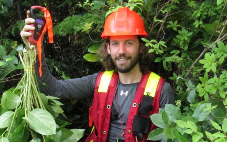 phd in wood science and technology