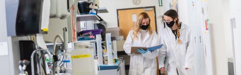 phd biomedical engineering canada