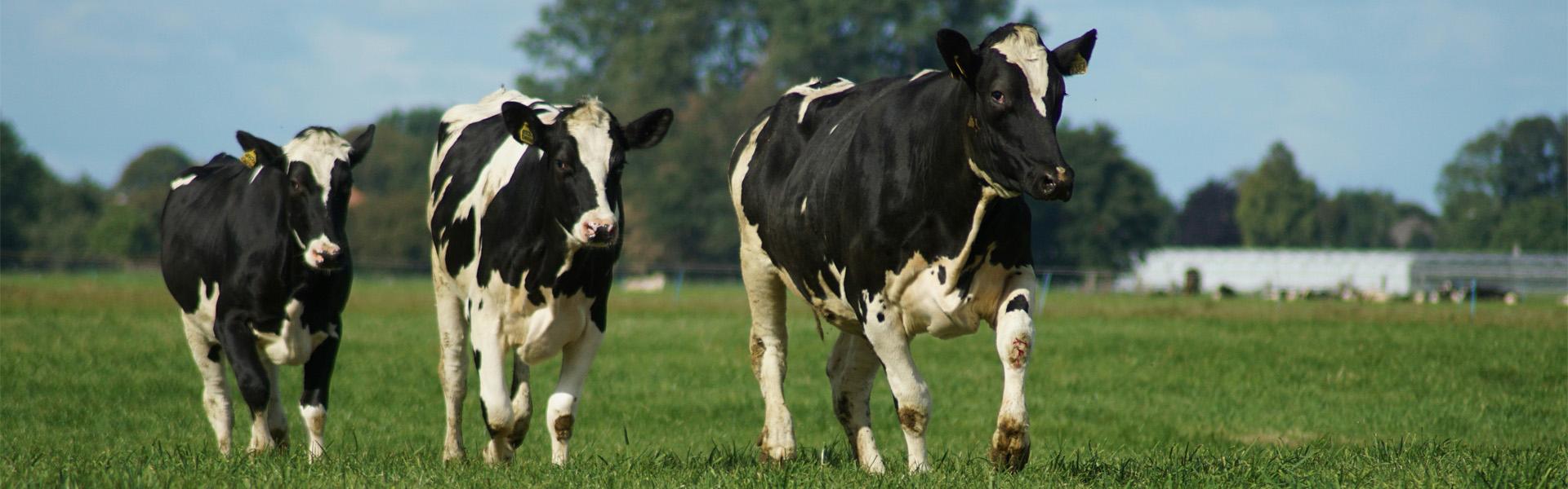Picture for RC Dairy Education and Research Centre